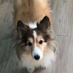 Meet your Posher, Kelsey